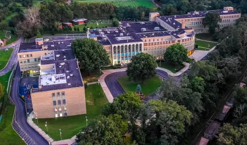 Christ The King High School